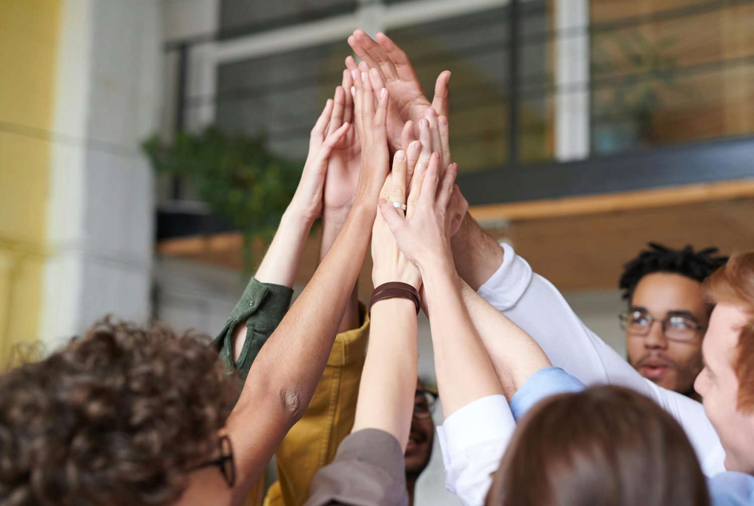 pexels fauxels 3184428